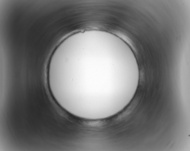 X0000088201047200705292028