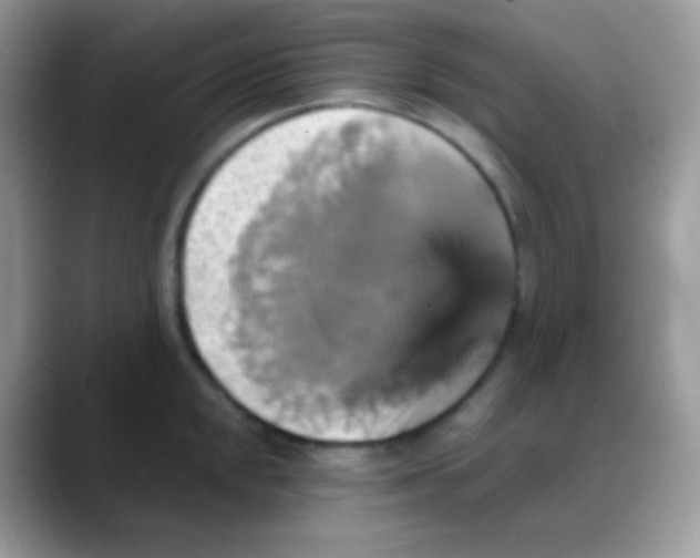 X0000088201048200705292028