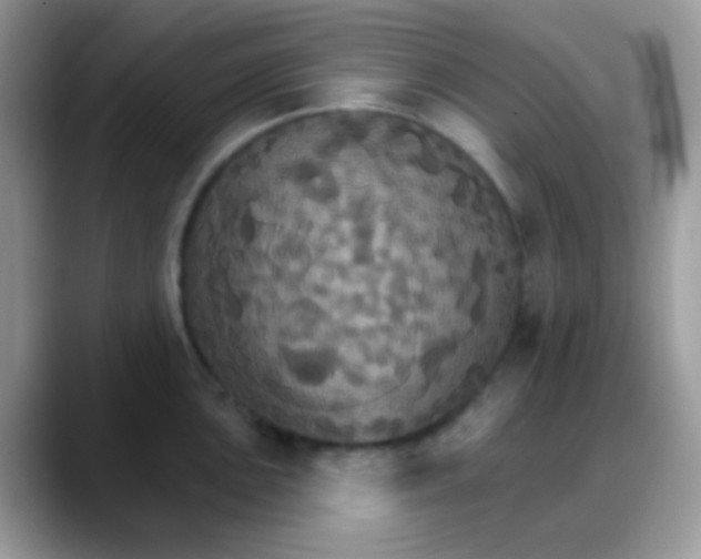 X0000088201051200705292028