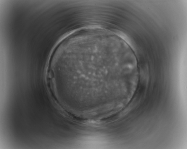 X0000088201052200705292028