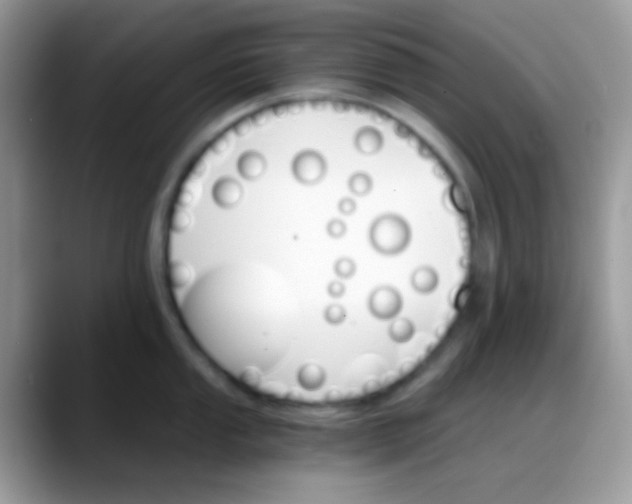 X0000088201053200705292028