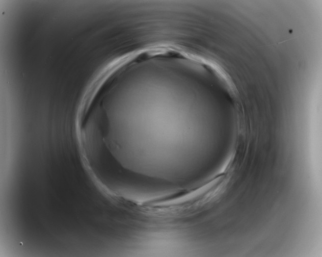 X0000088201054200705292028