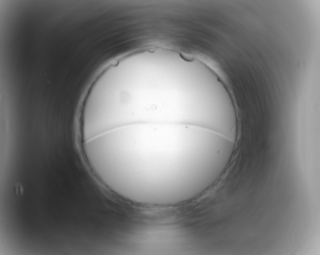 X0000088201056200705292028