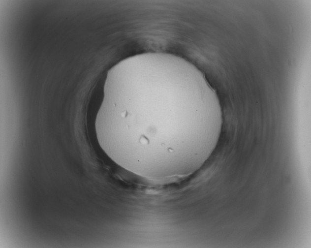 X0000088201057200705292028