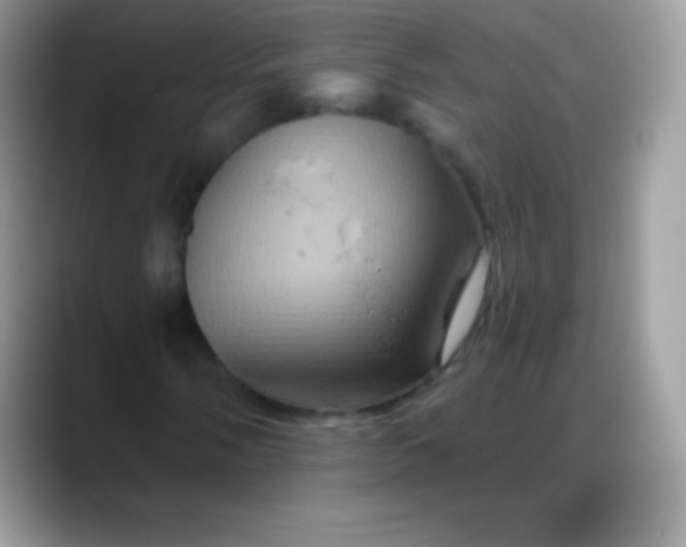 X0000088201058200705292028