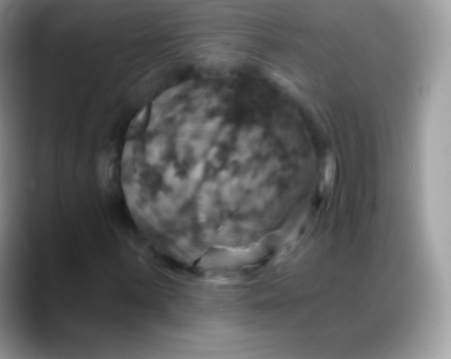 X0000088201059200705292028