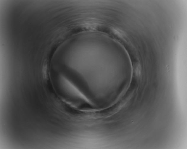 X0000088201060200705292028