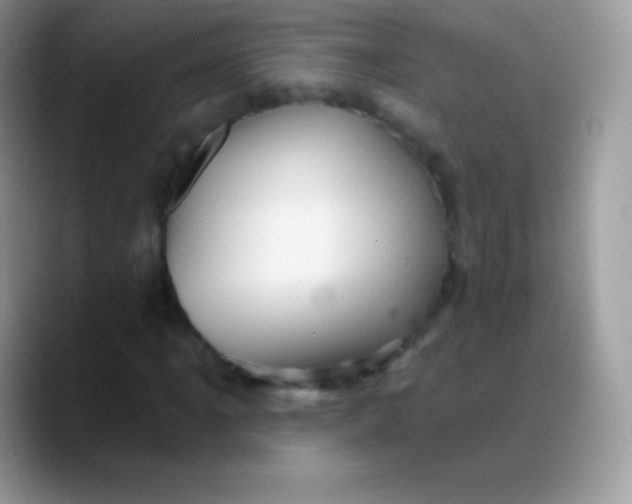 X0000088201061200705292028
