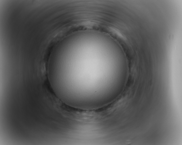 X0000088201062200705292028