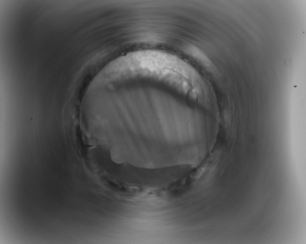 X0000088201064200705292028