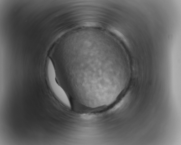 X0000088201065200705292028