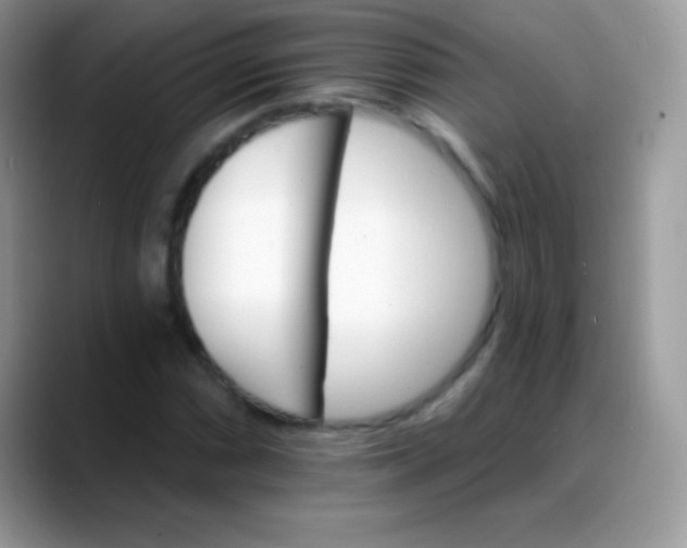X0000088201066200705292028