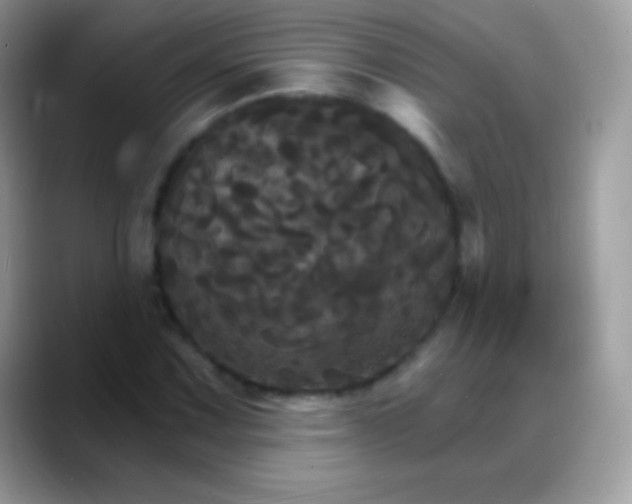 X0000088201067200705292028