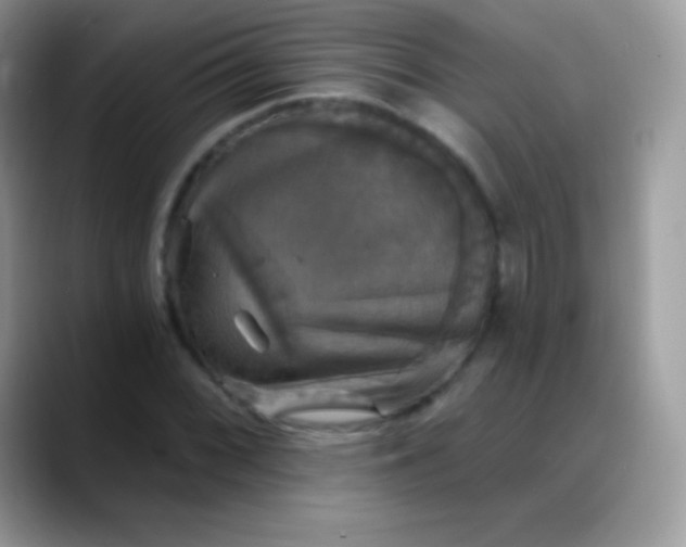 X0000088201068200705292028