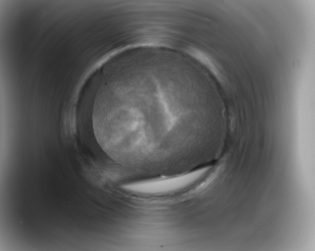 X0000088201069200705292028