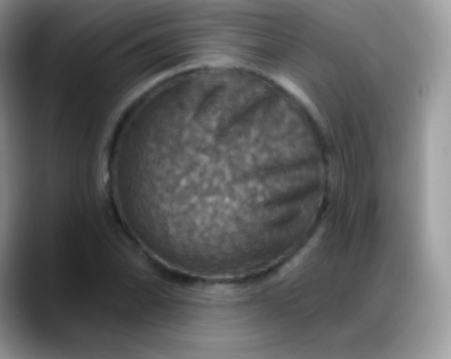 X0000088201070200705292028