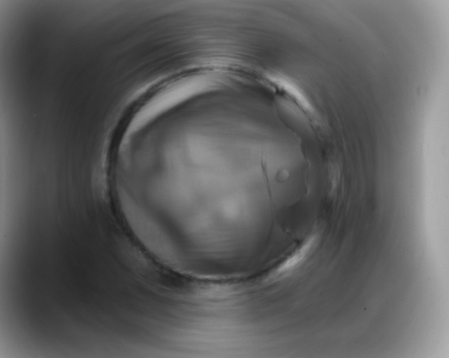 X0000088201071200705292028