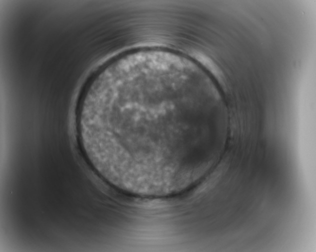 X0000088201072200705292028