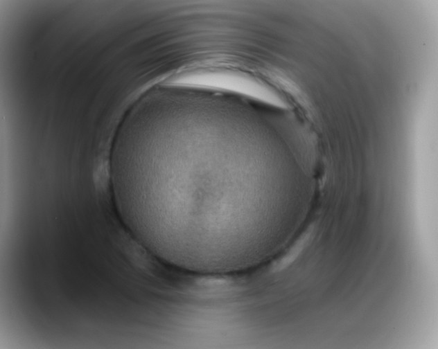 X0000088201073200705292028