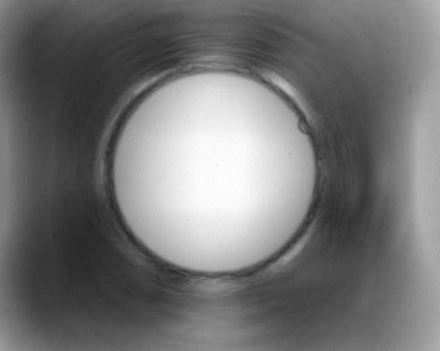 X0000088201074200705292028