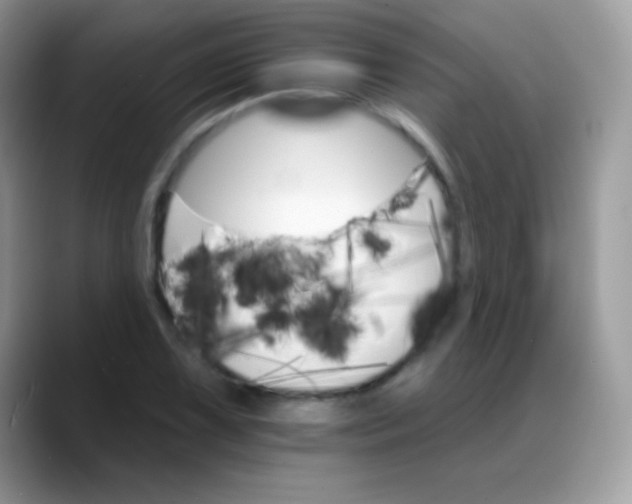 X0000088201075200705292028