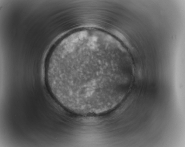 X0000088201076200705292028