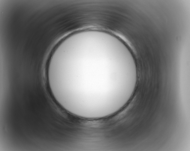 X0000088201078200705292028