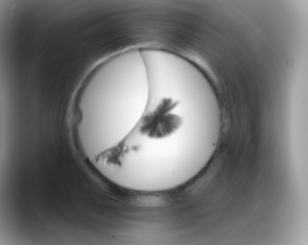 X0000088201079200705292028