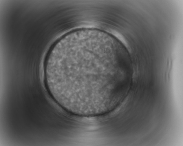 X0000088201080200705292028
