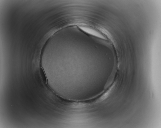 X0000088201081200705292027
