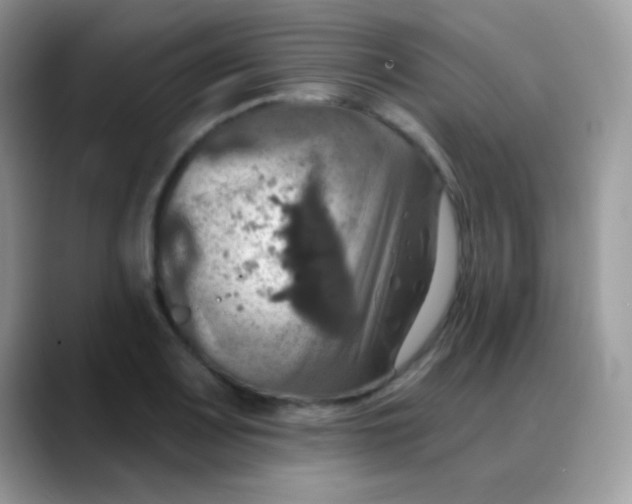 X0000088201083200705292027