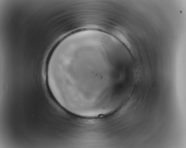 X0000088201084200705292027