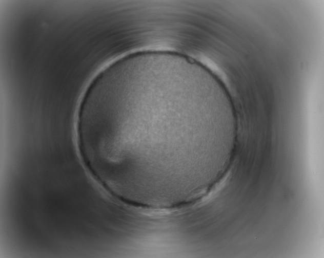 X0000088201085200705292027