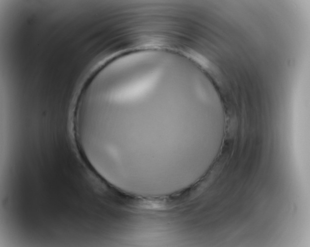 X0000088201086200705292027