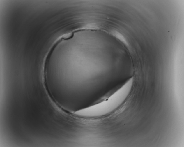 X0000088201087200705292027
