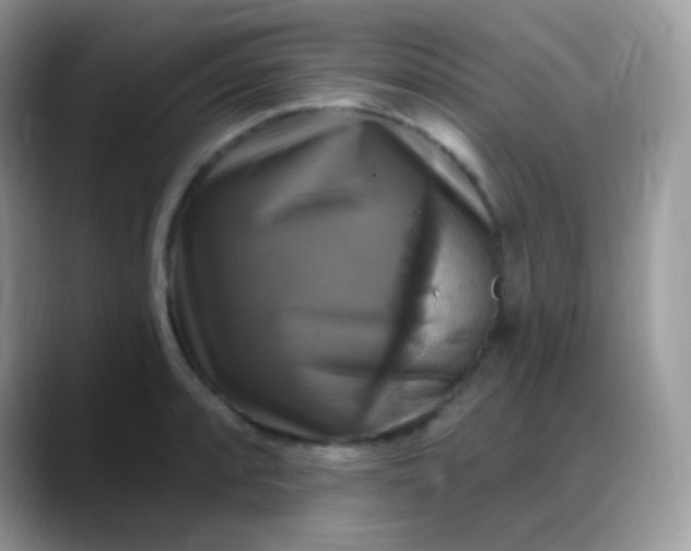X0000088201088200705292027