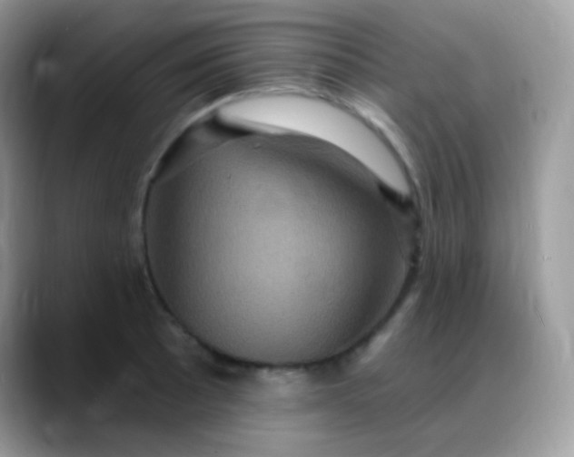 X0000088201089200705292027