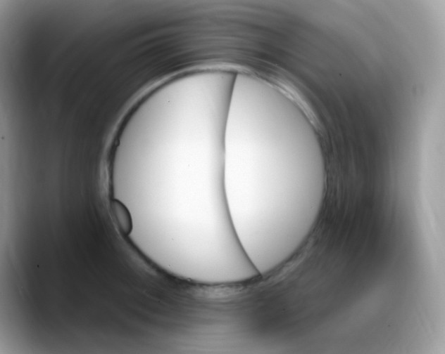 X0000088201092200705292027