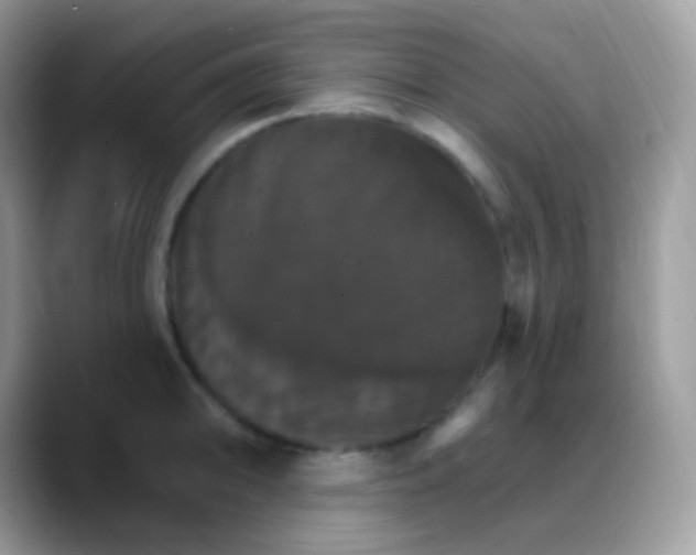 X0000088201094200705292027