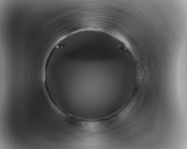X0000088201095200705292027