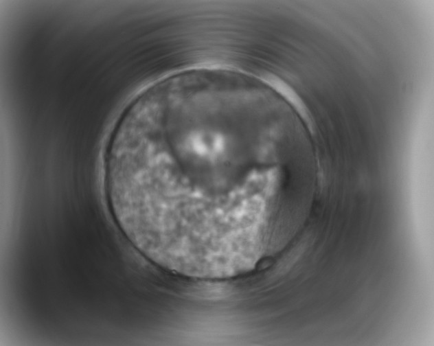 X0000088201096200705292027