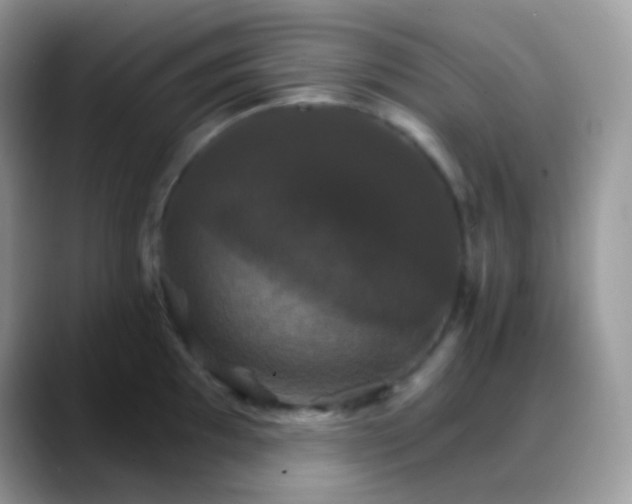 X0000088201097200705292027