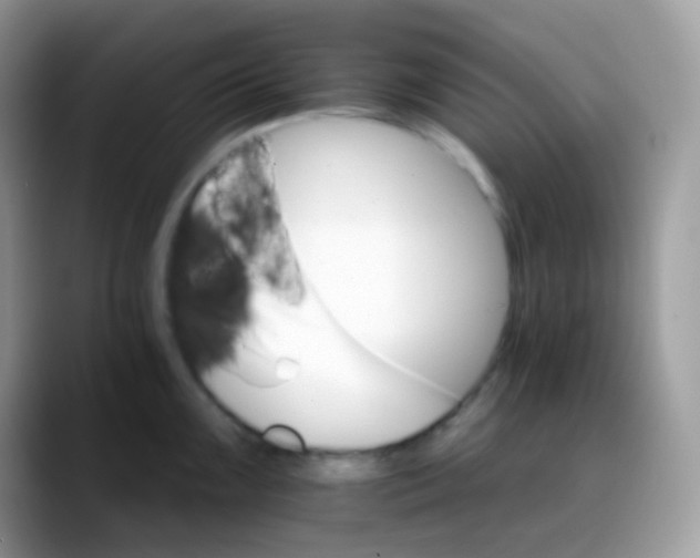 X0000088201099200705292027