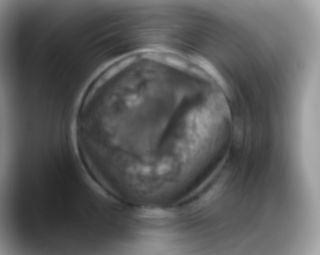 X0000088201100200705292027
