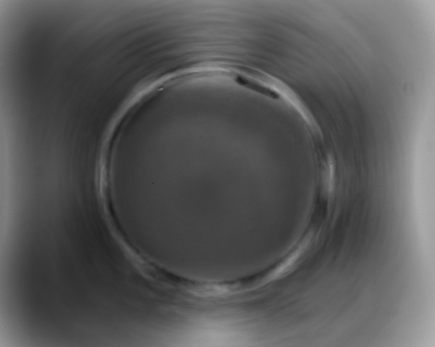 X0000088201101200705292027