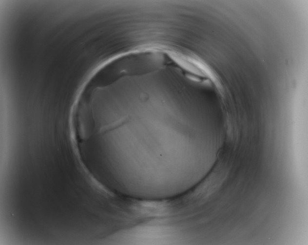 X0000088201102200705292027