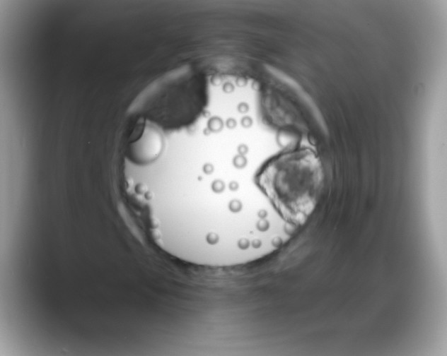 X0000088201105200705292027