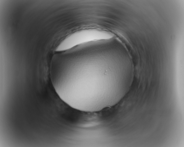 X0000088201111200705292027