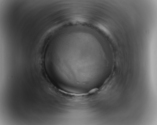 X0000088201112200705292027