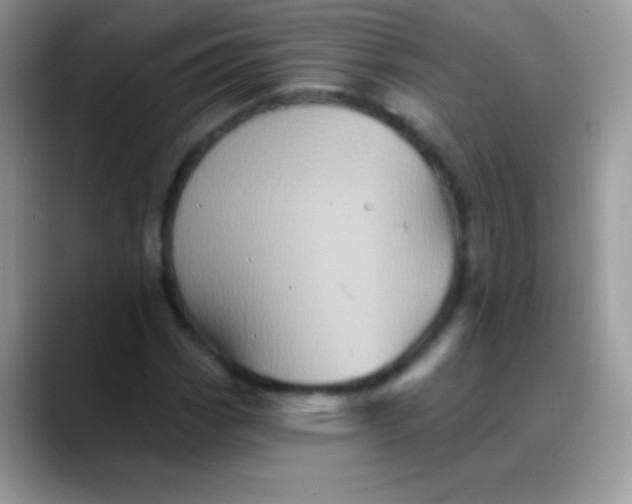 X0000088201113200705292027